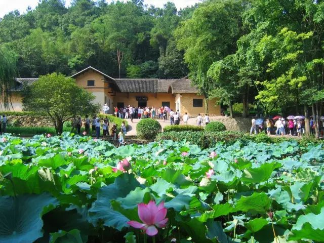 韶山红色团建